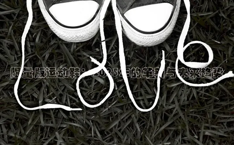 限量版运动鞋：2025年的革新与未来趋势